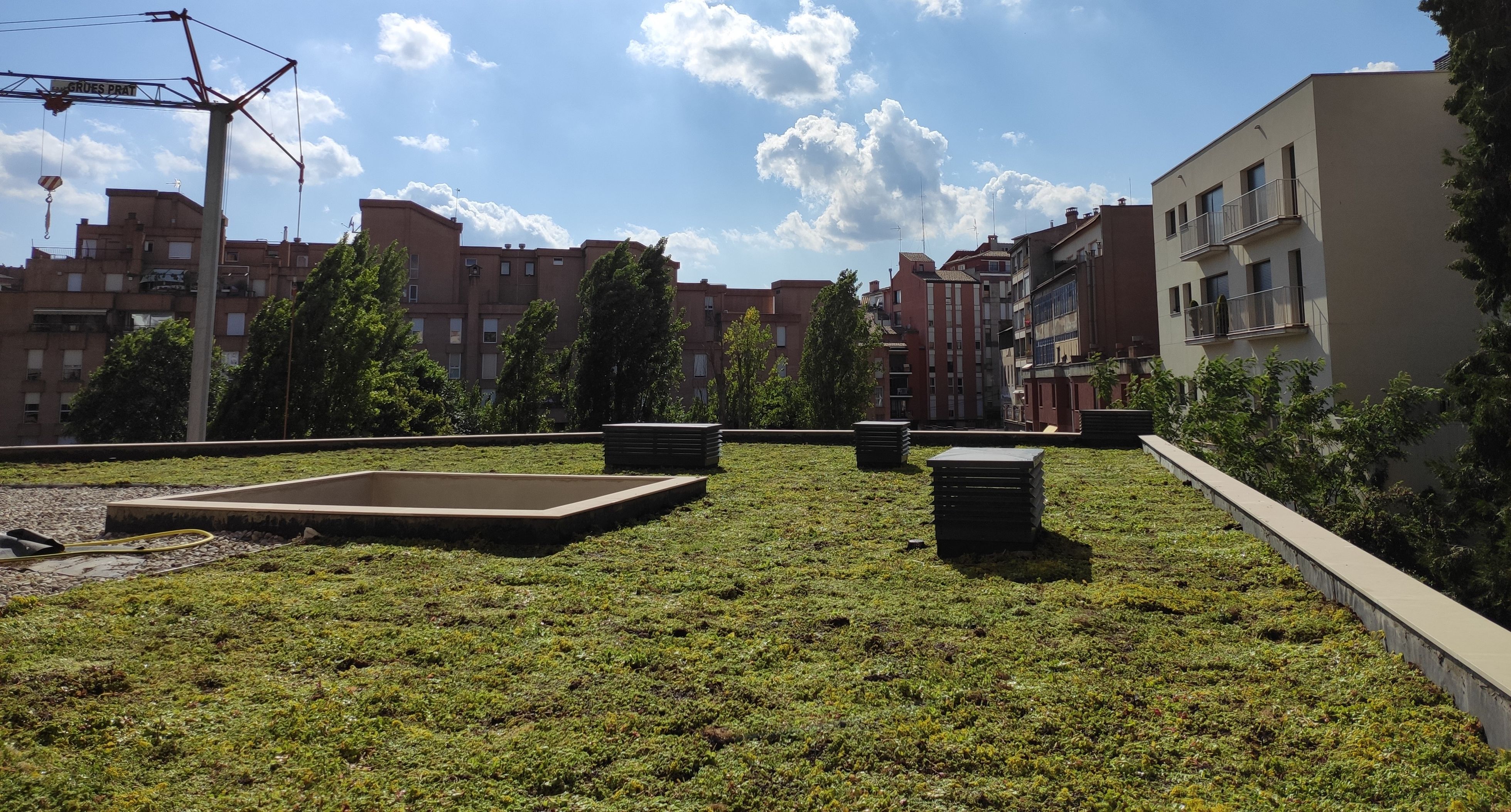 Grüne Dächer sind ein wichtige Teil heutiger Stadtenwicklung