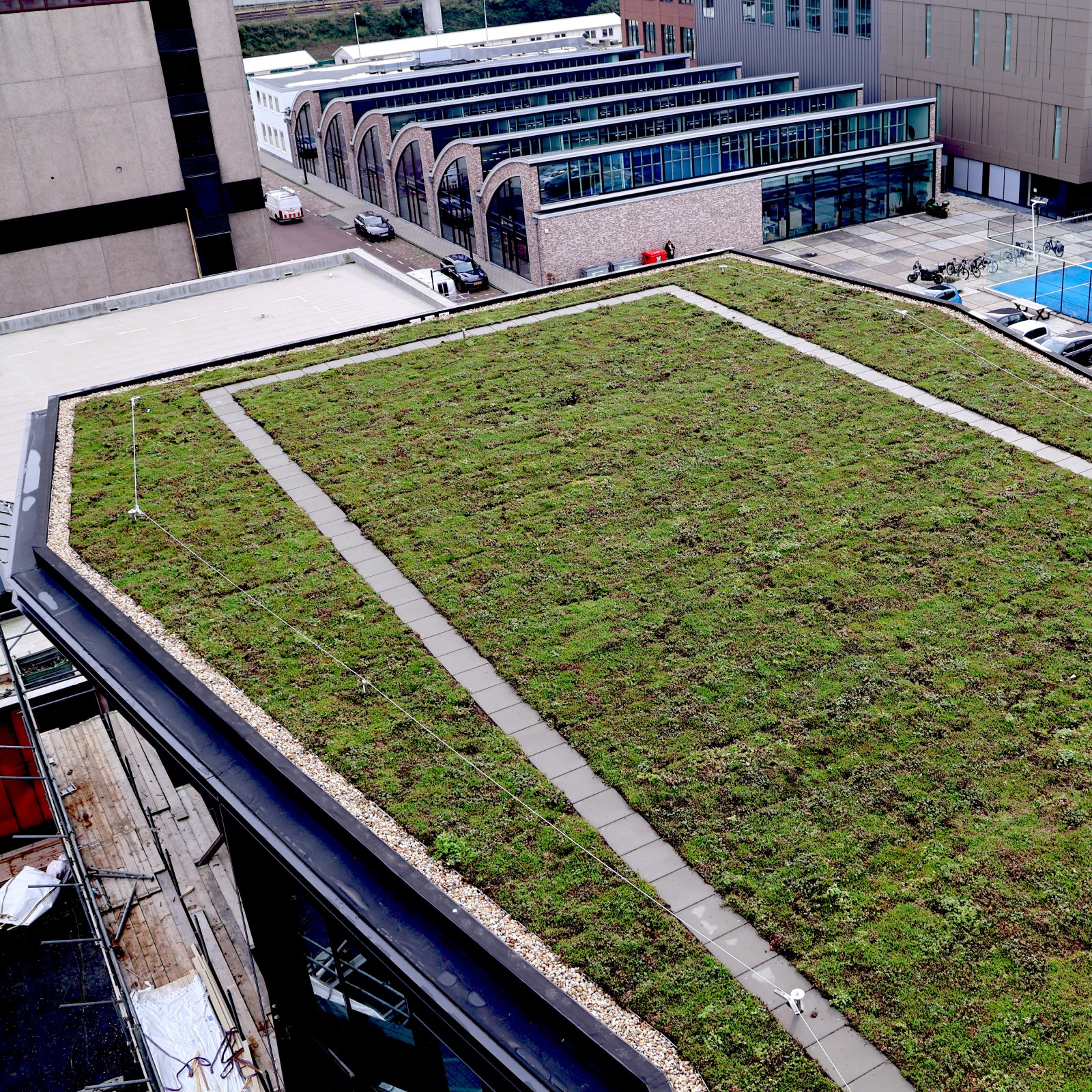 Das grün-blaue Dach von Sempergreen trägt zur Regenwasserbewirtschaftung bei Das grün-blaue Dach von Sempergreen trägt zur Regenwasserbewirtschaftung bei