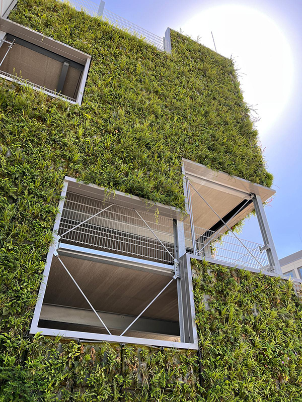 SempergreenWall