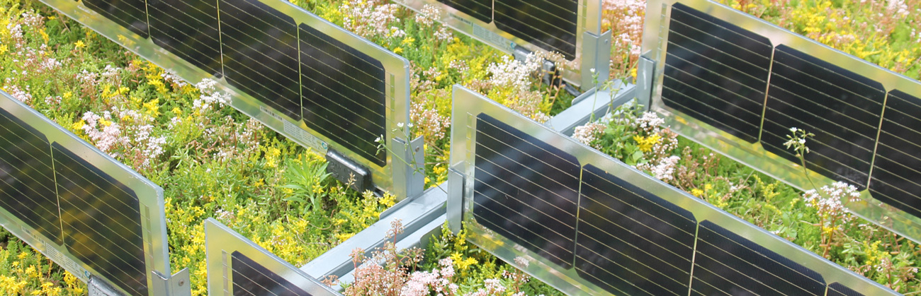 Datacenter solar groendak