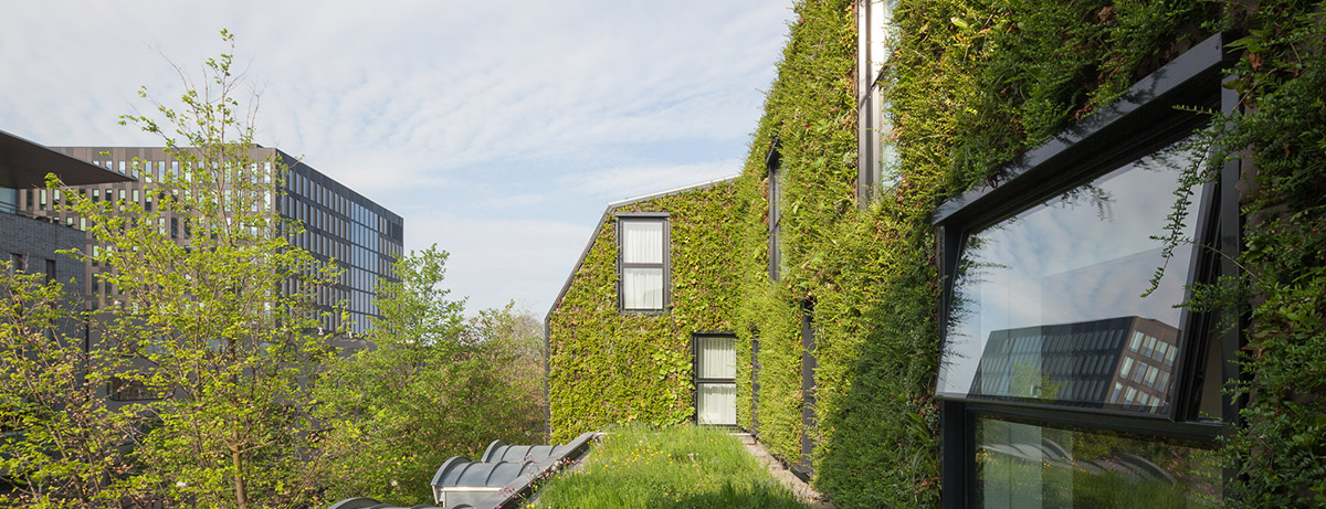 Green roof and wall