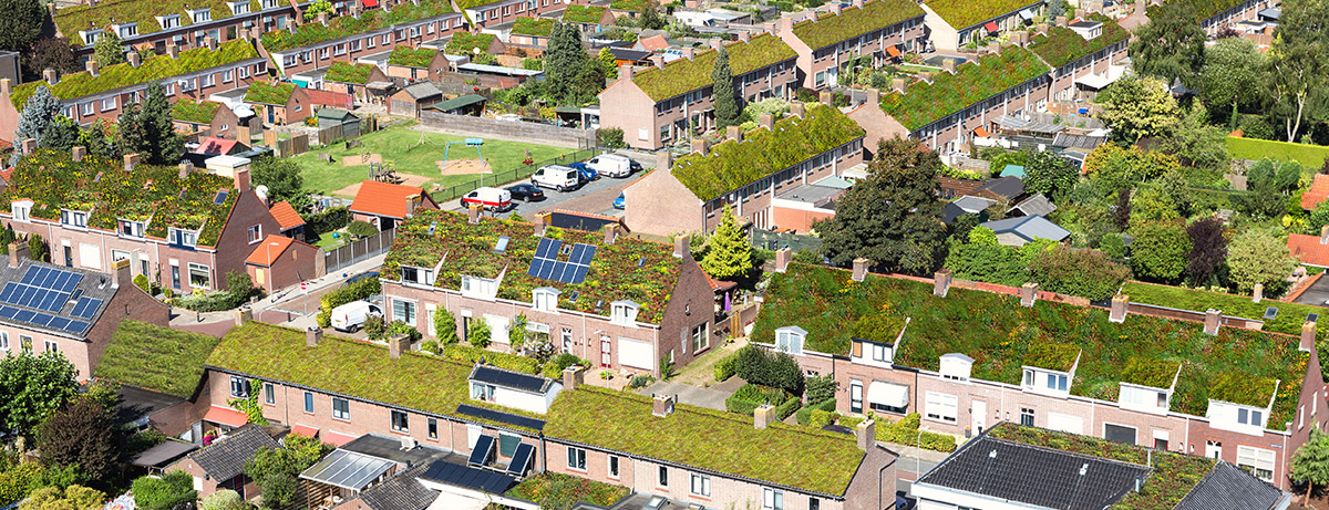Green roofs in green neighbourhood