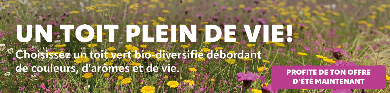 Un toit plein de vie