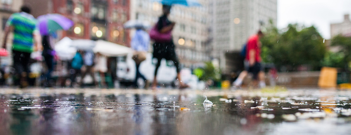 Waterhuishouding regenbui