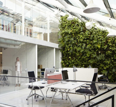 Green office design
