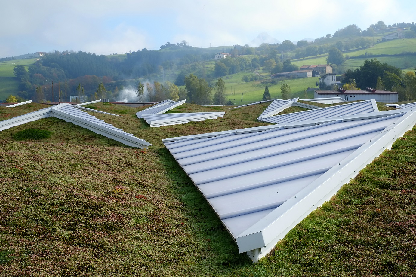 Sedum roof by Sempergreen blends in perfectly with the natural surroundings