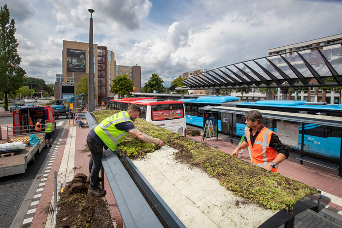 Making bus station Wageningen more sustainable 