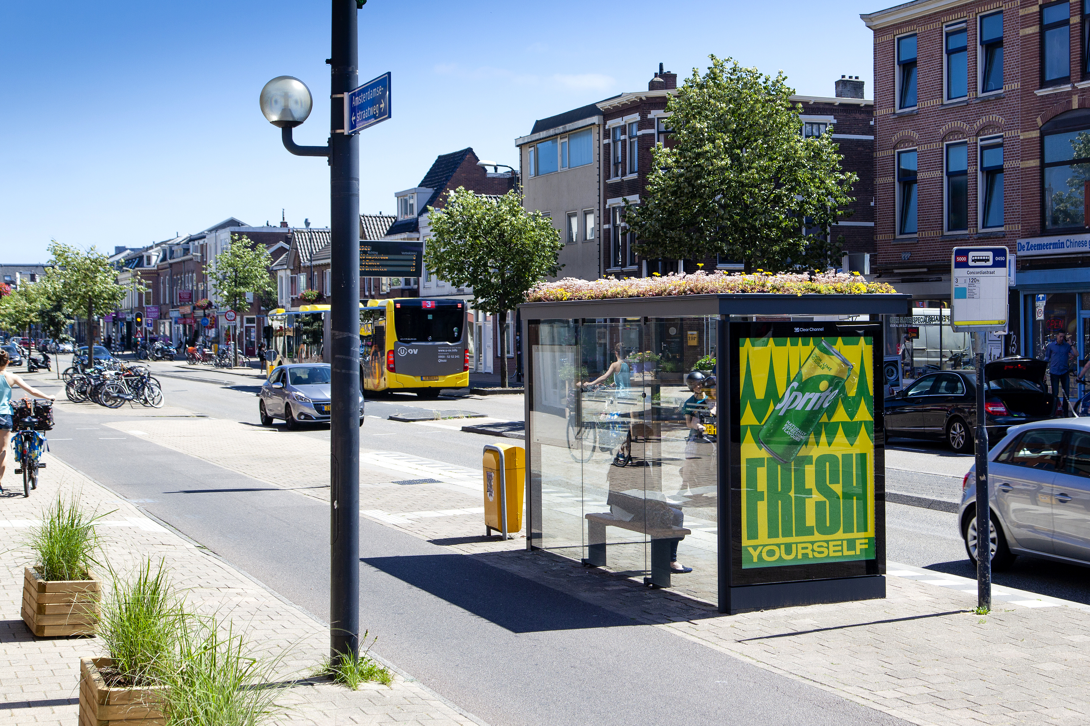 Dach zielony na wiacie przystankowej, Utrecht 