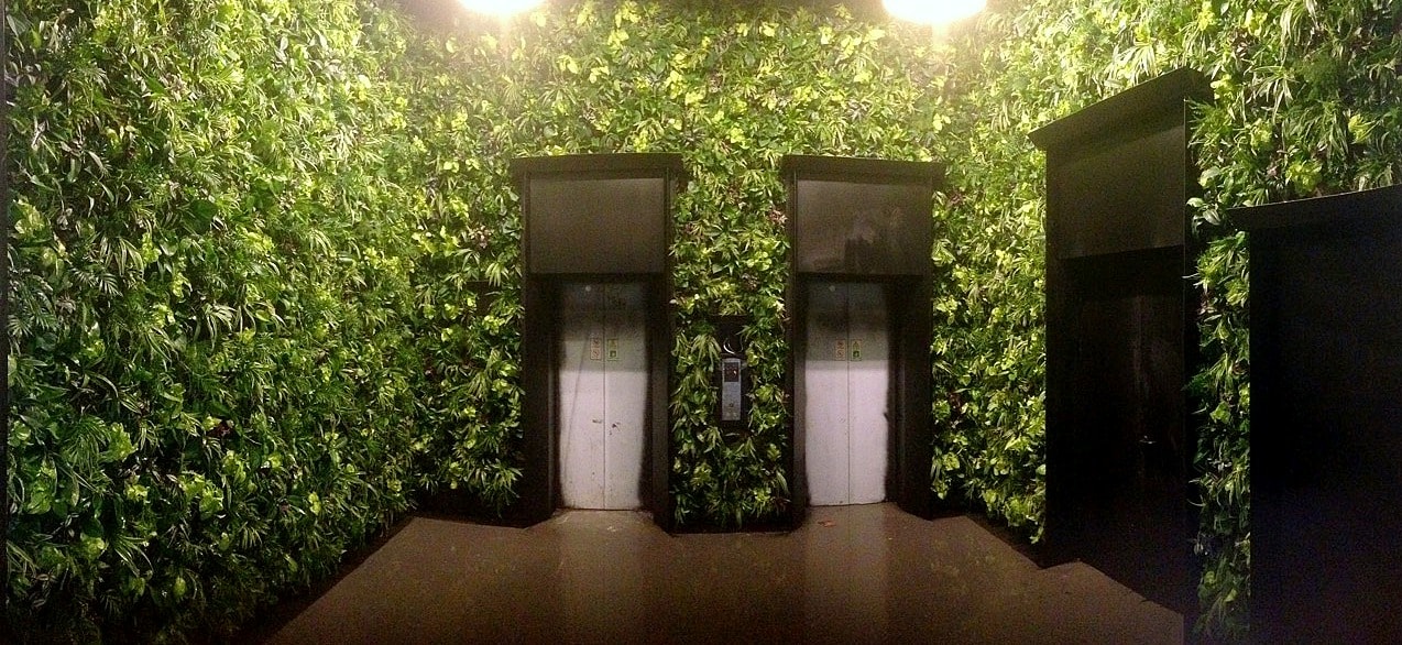 Shanghai Anken Air elevator group with indoor vertical green wall system