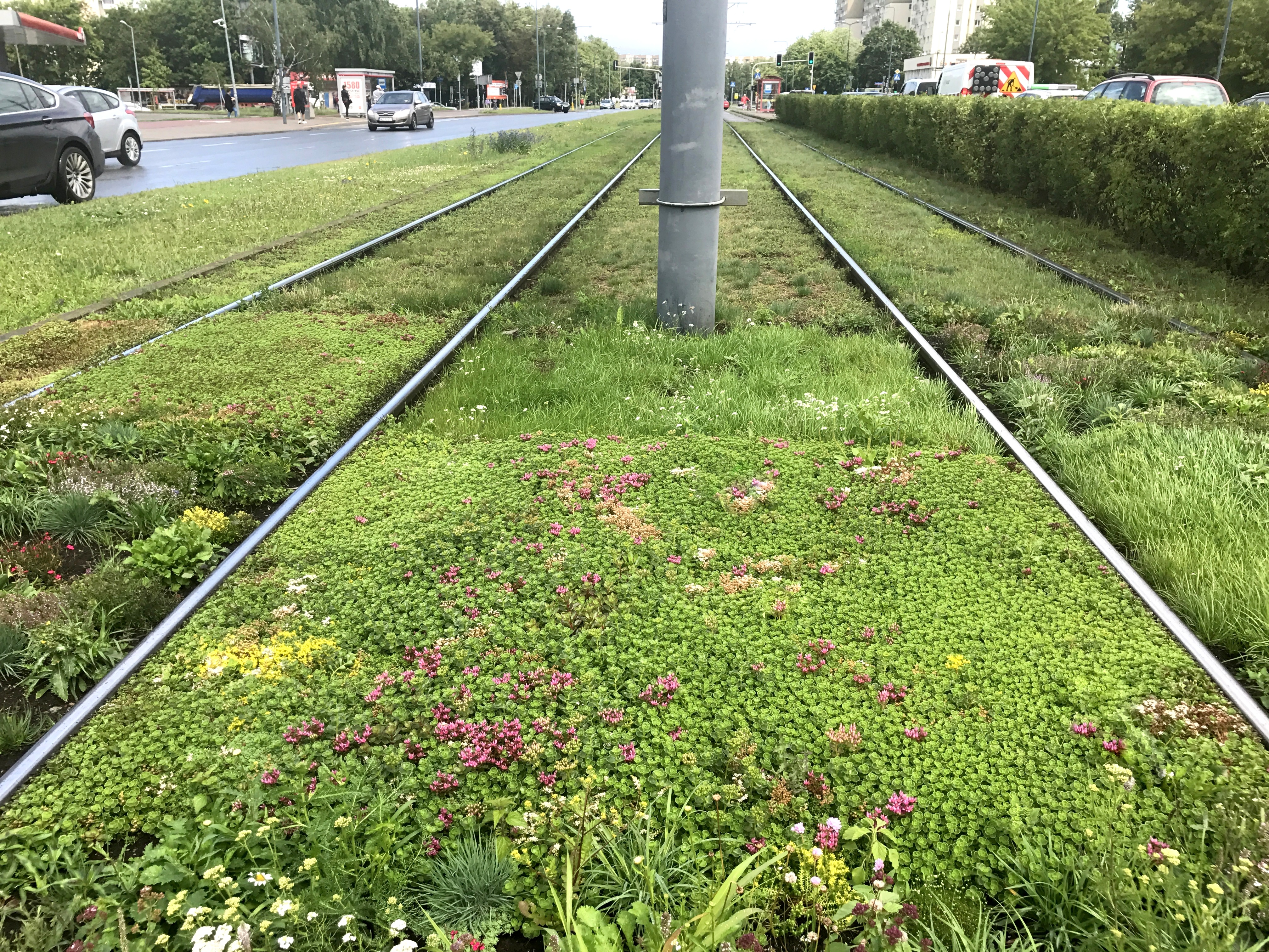 Verschillende bodembedekkers werden getest voor de trambaan op Obozowa Street in Warschau