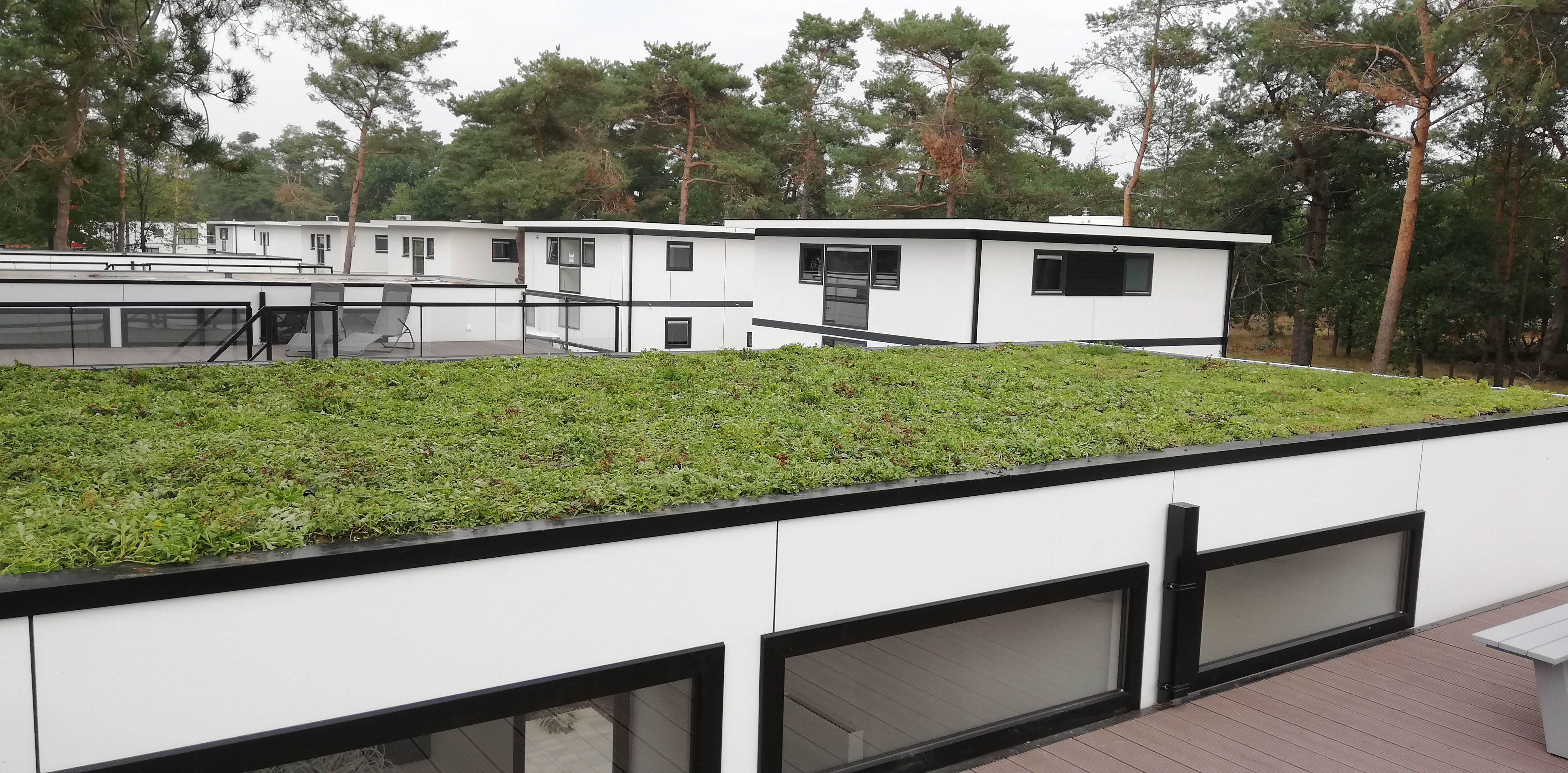 Eenvoudige installatie met Place 'n go Sedumtrays Eenvoudige installatie met Place 'n go Sedumtrays