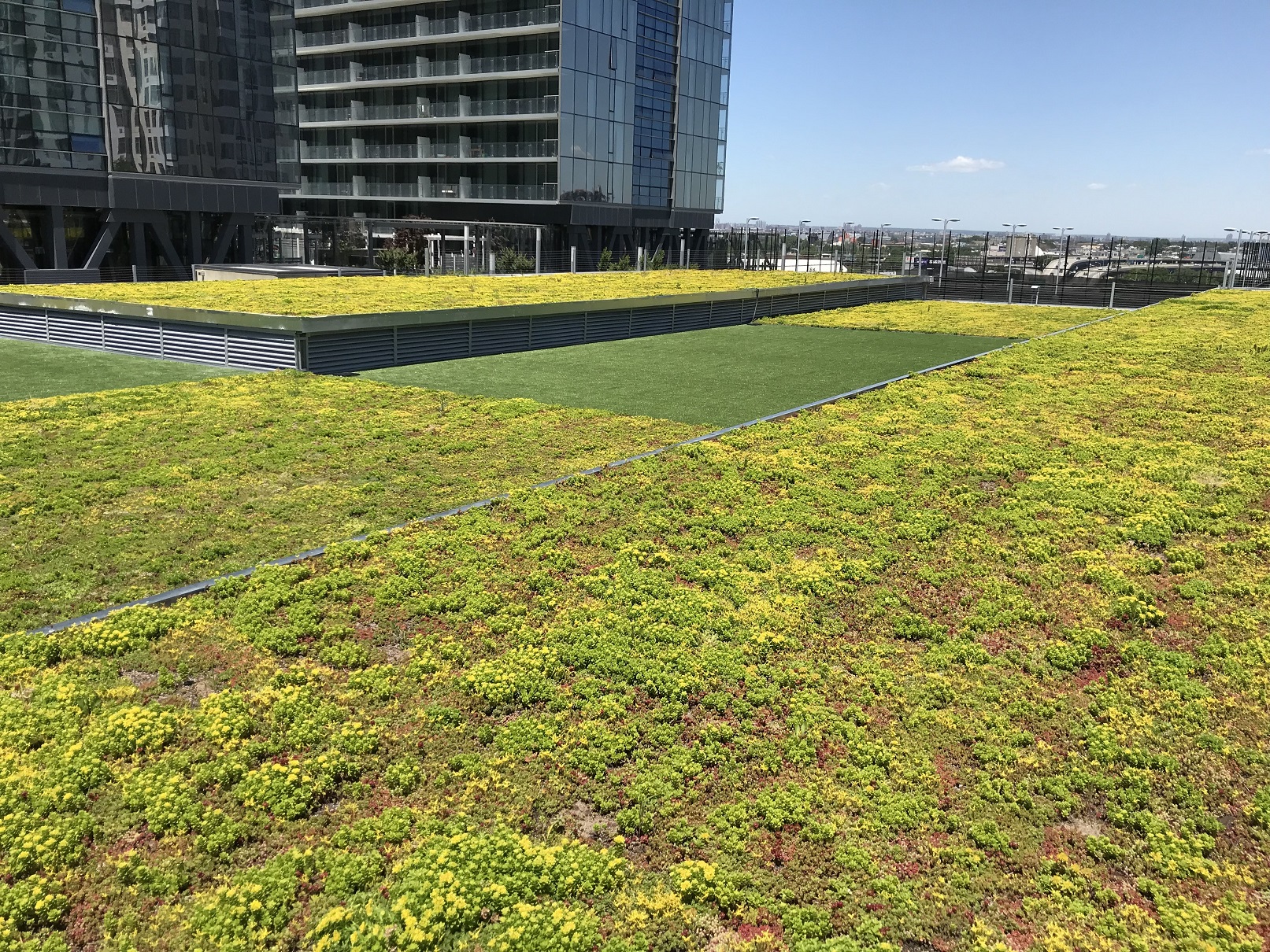 On top of the parking garage a multi-leveled green roof is created