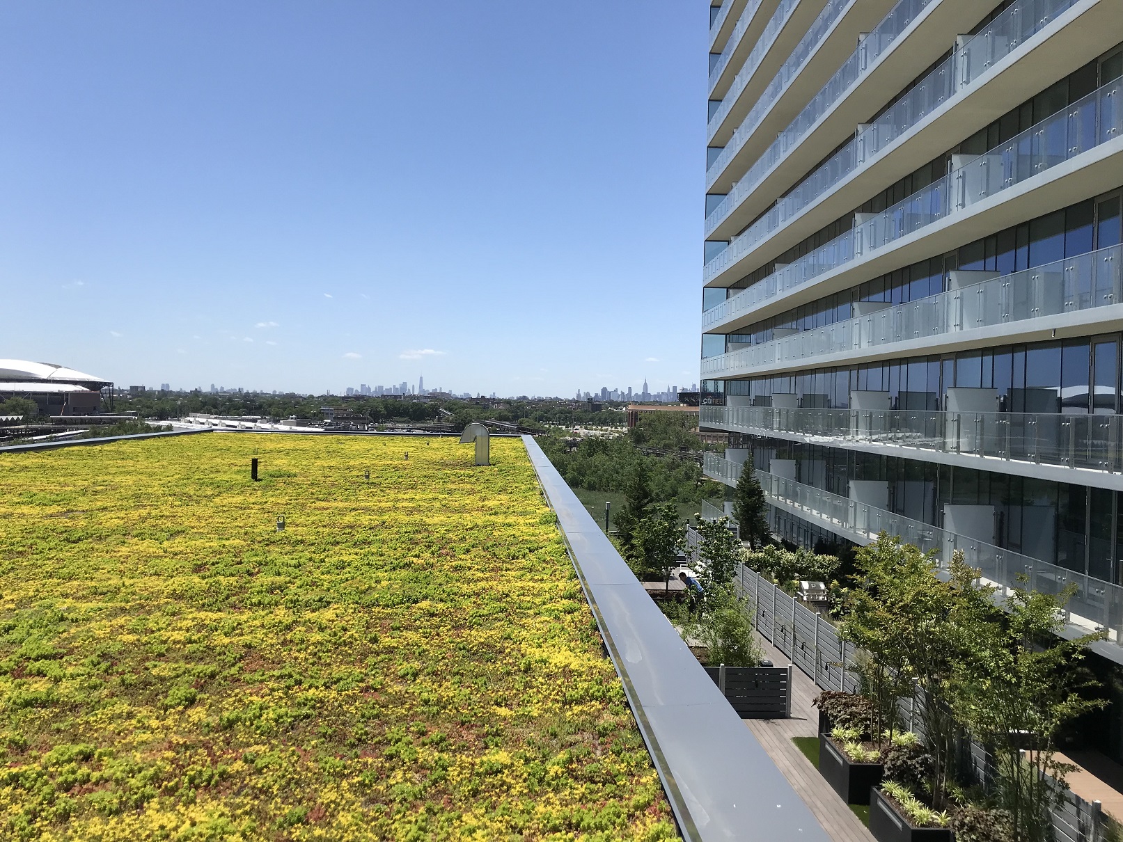 The green roof was installed in phases between February and March