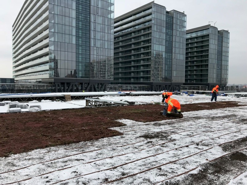 Green roof installation during winter months