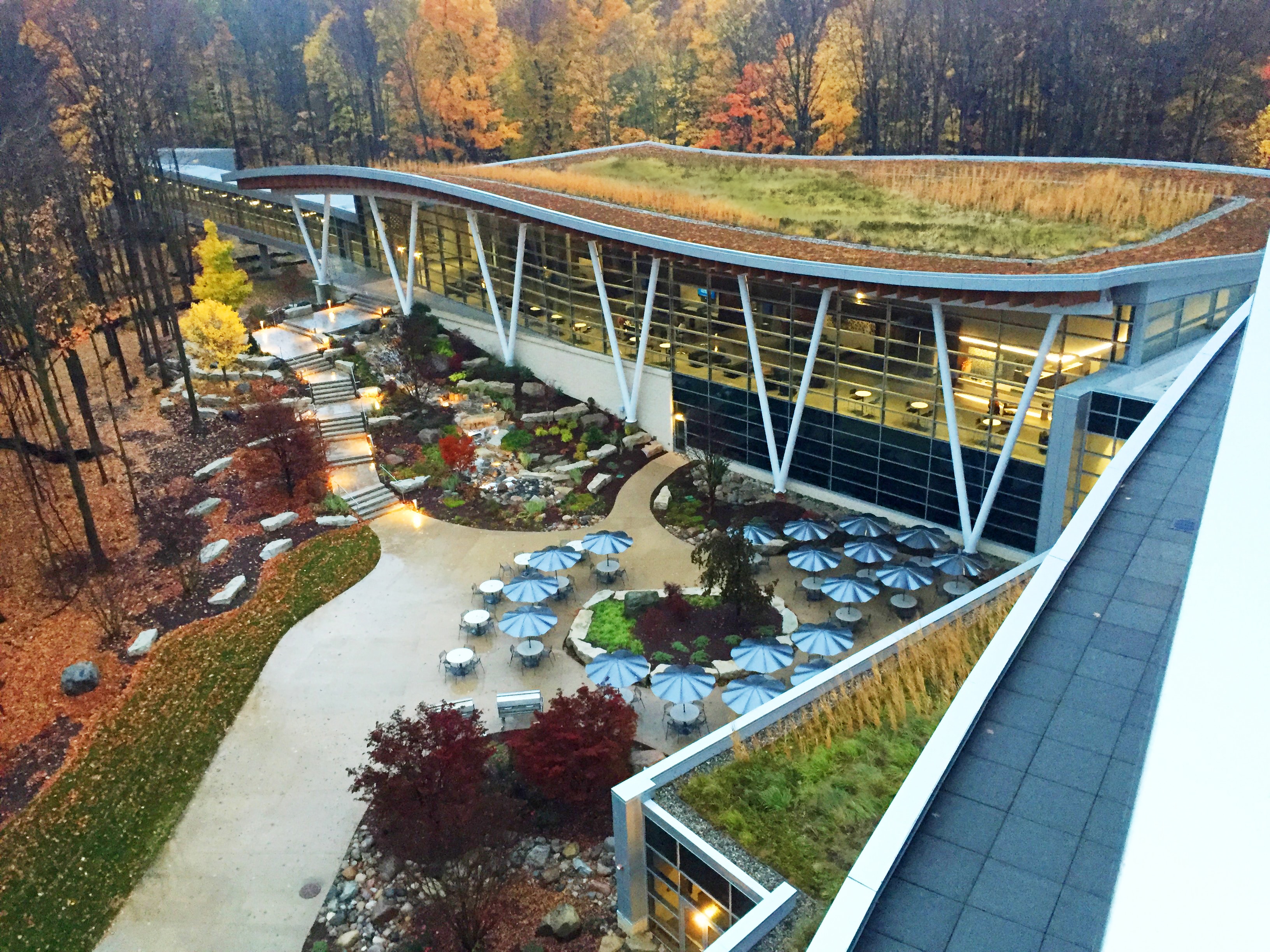 Sedum and native plants on green roof  Jackson’s Campus Lansing, MI