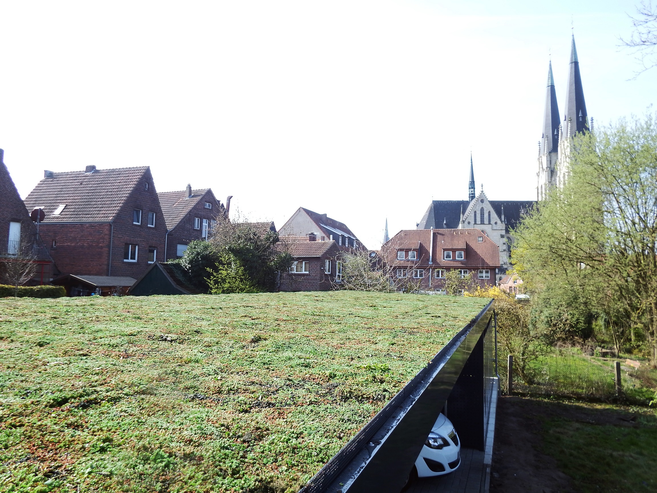 Gründach auf dem Garagendach