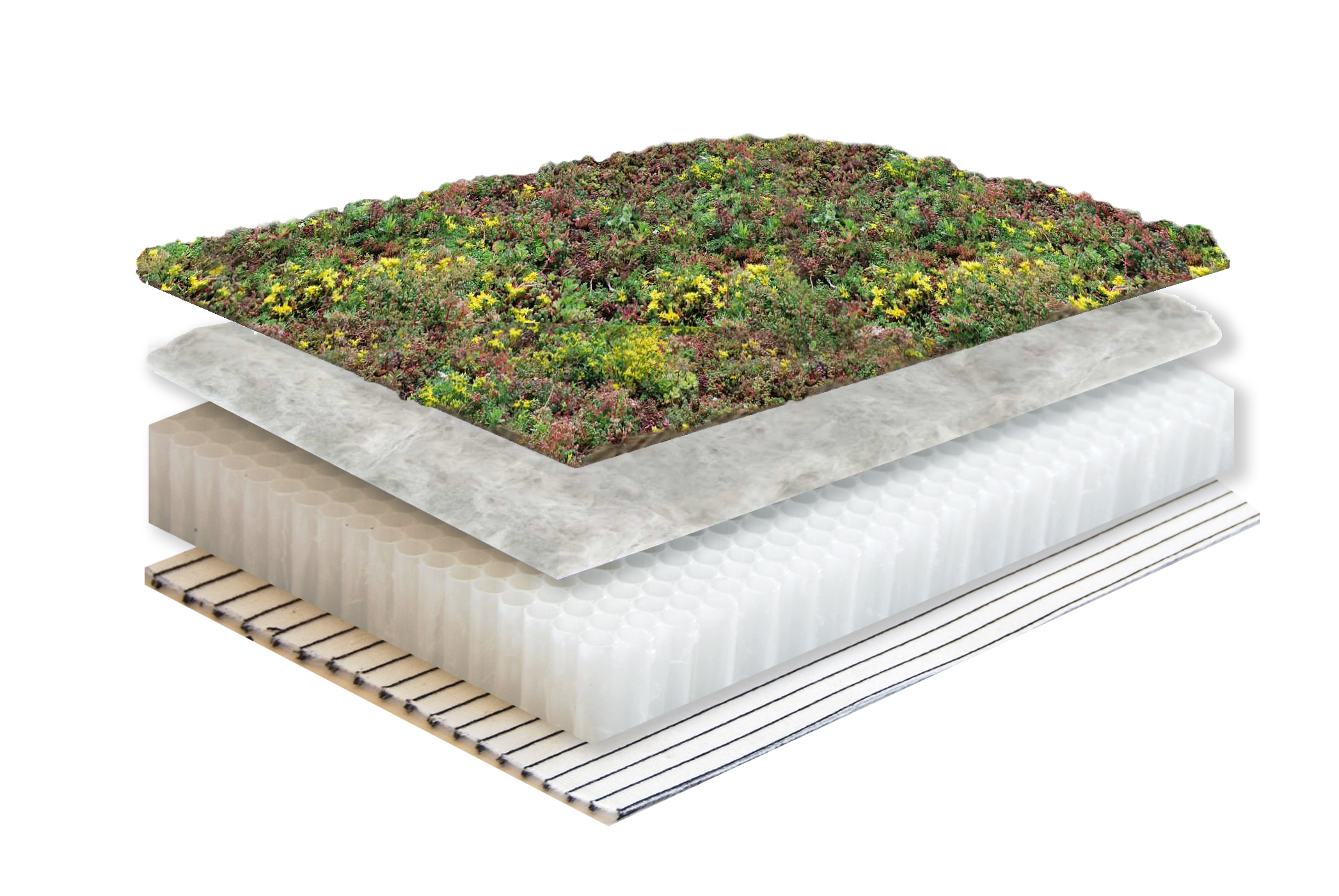 Groendak systeemopbouw plat dak met Sedum