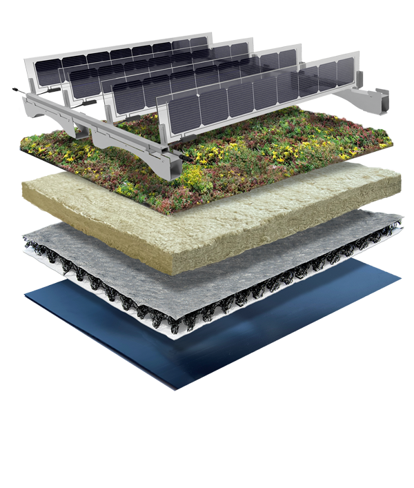 Lees meer over het Lichtgewicht Solar Sedumdak en Solar Detentiedak