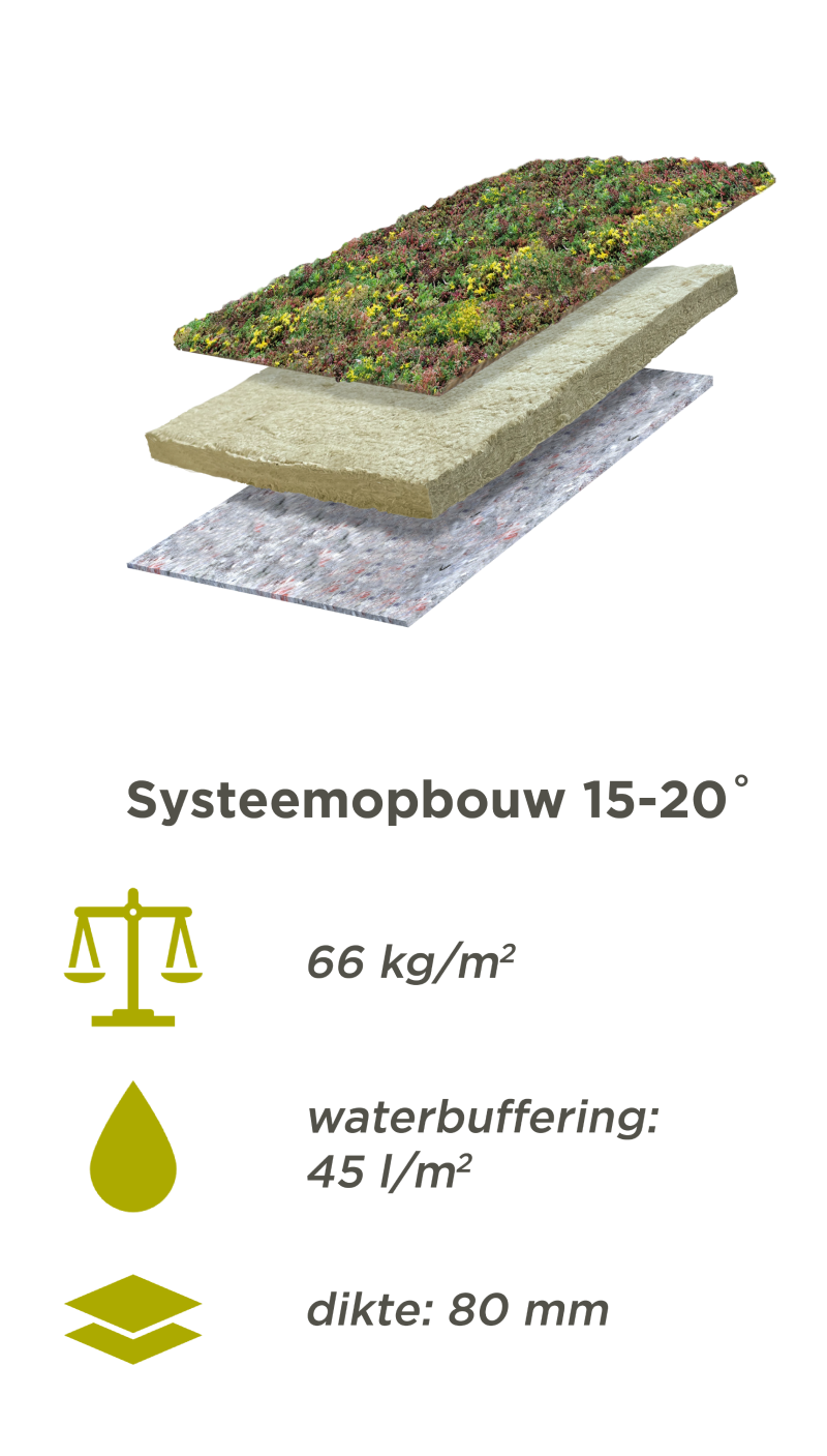 Systeemopbouw Lichtgewicht Sedumdak voor 15-20 graden dakhelling