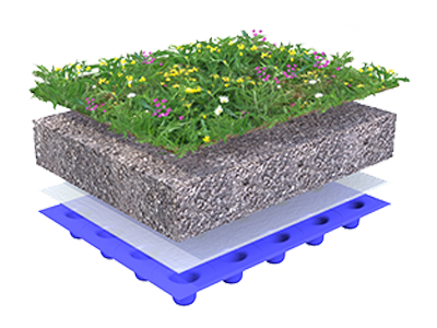 Biodiverse green roof 0-15°