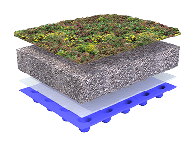 Green roof system structure – flat roof with Sedum