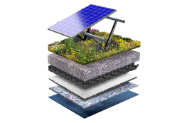Solar Biodiverse Roof 