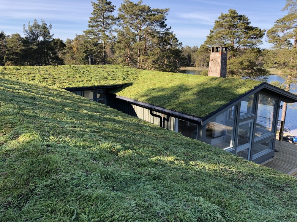 Projectvoorbeeld - Lichtgewicht groendak op Zweeds woonhuis