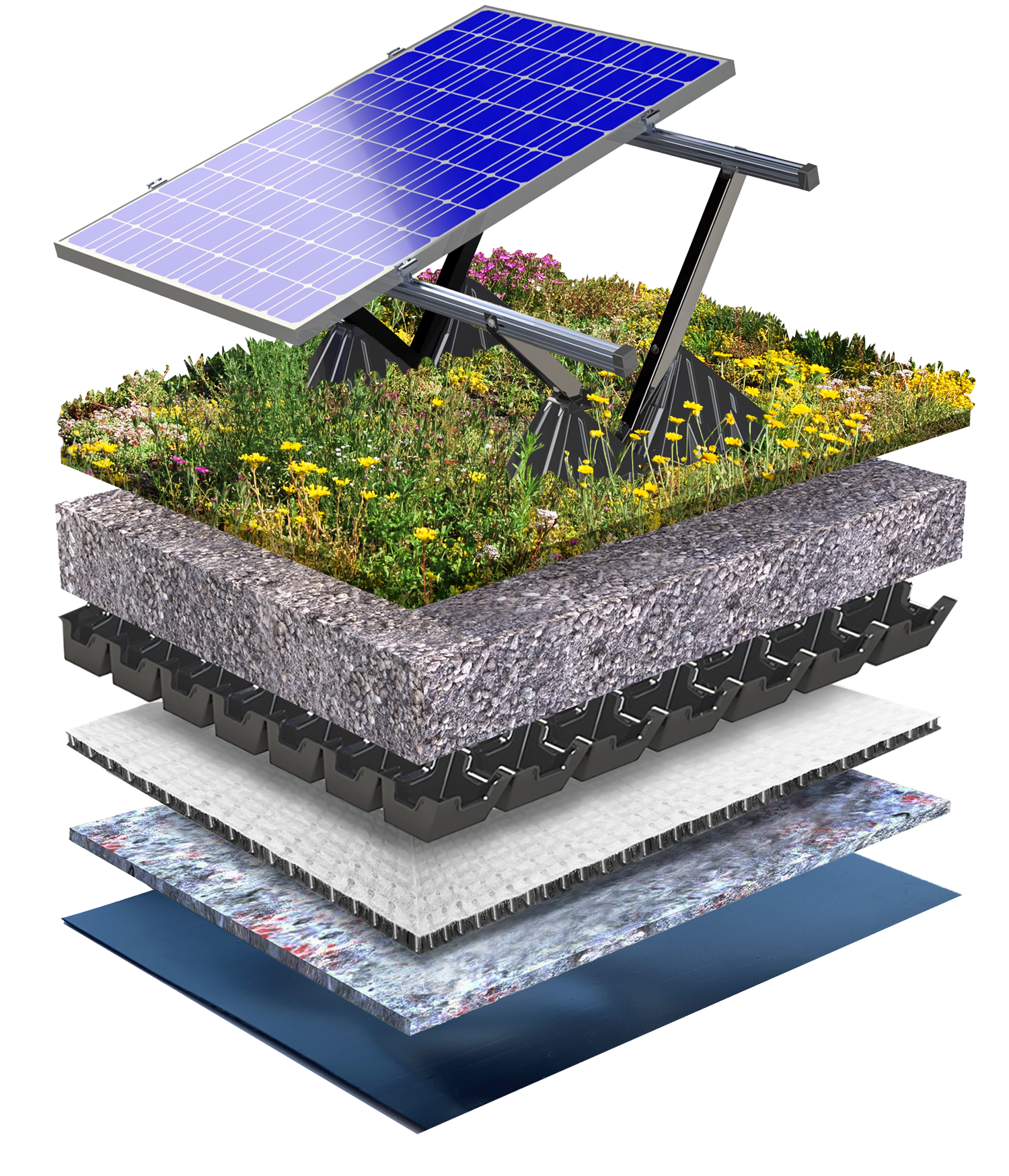 System structure biodiverse solar roof 0-5 degrees