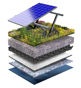 Biodiverse green roof system structure with PV panel system