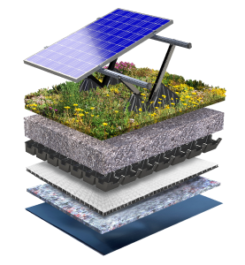 Systemaufbau Dachbegrünung Flachdach mit Kräutern, Sedum und PV-Module
