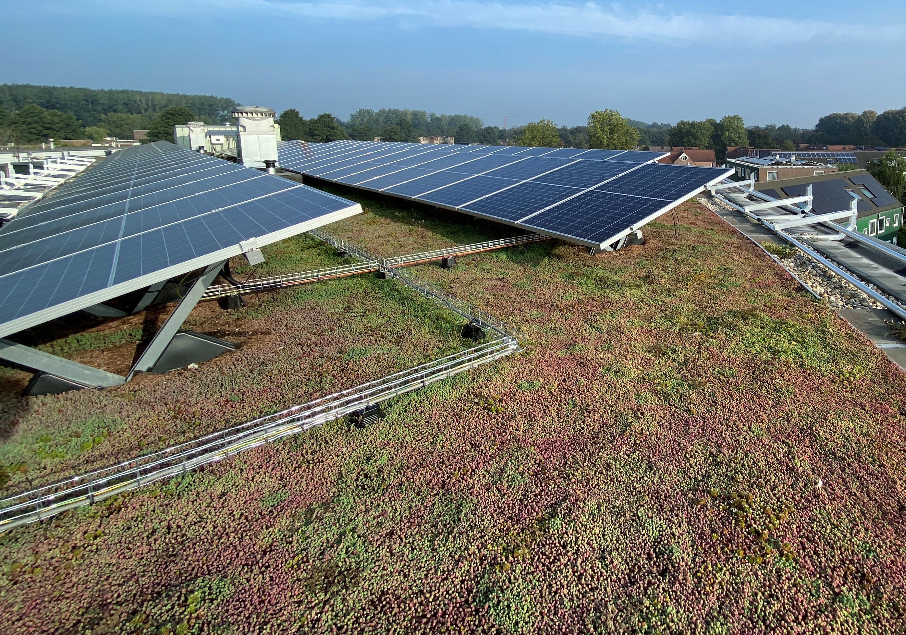 Sempergreen Solar Sedumdach 0-5°