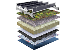 ¿Paneles solares o cubierta verde? ¡Ya no hace falta elegir! 