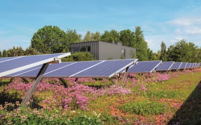 Sempergreen Solar Biodiverse Roof 0-5 degrees