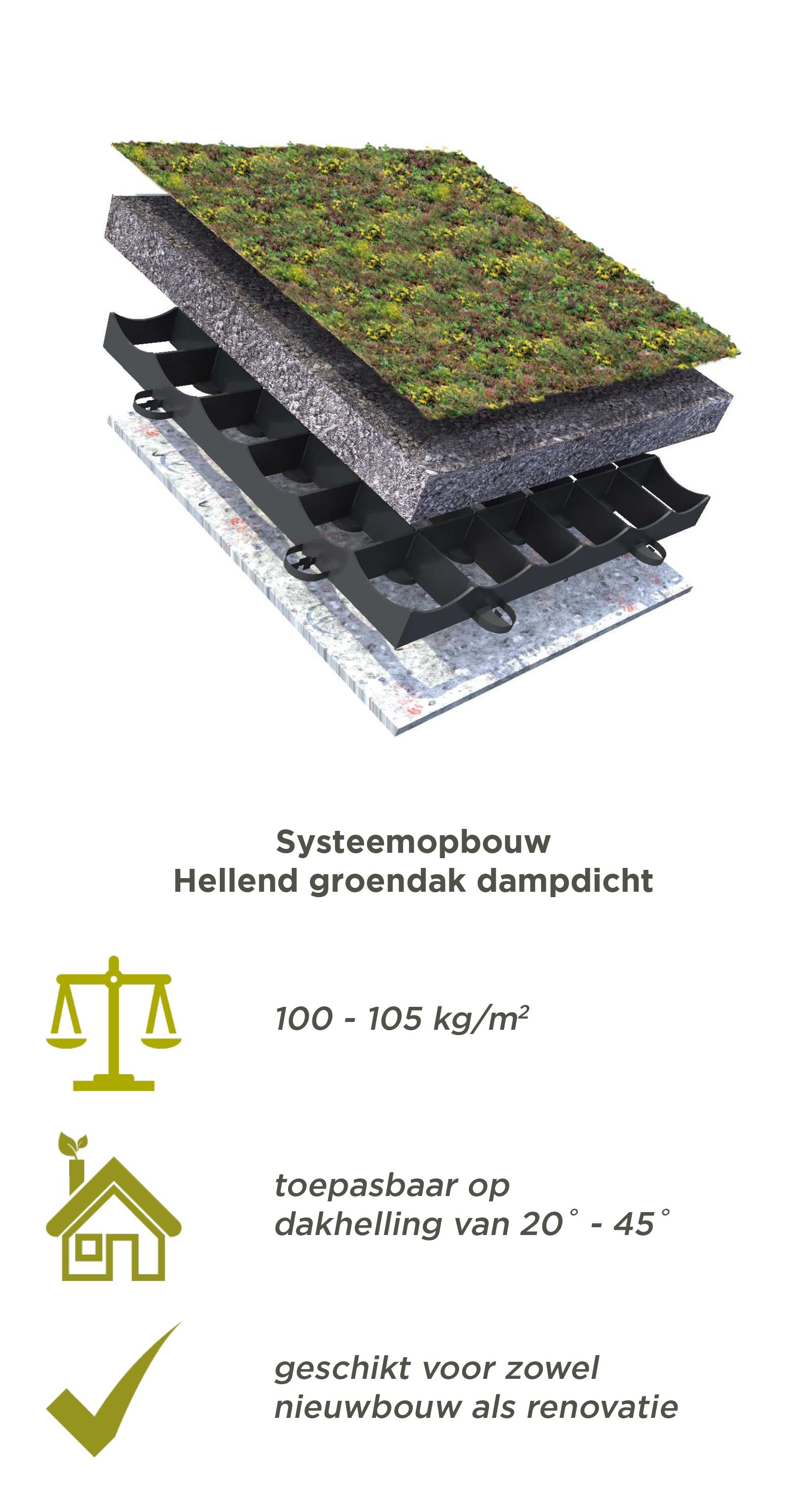 Systeemopbouw Hellend groendak dampdicht