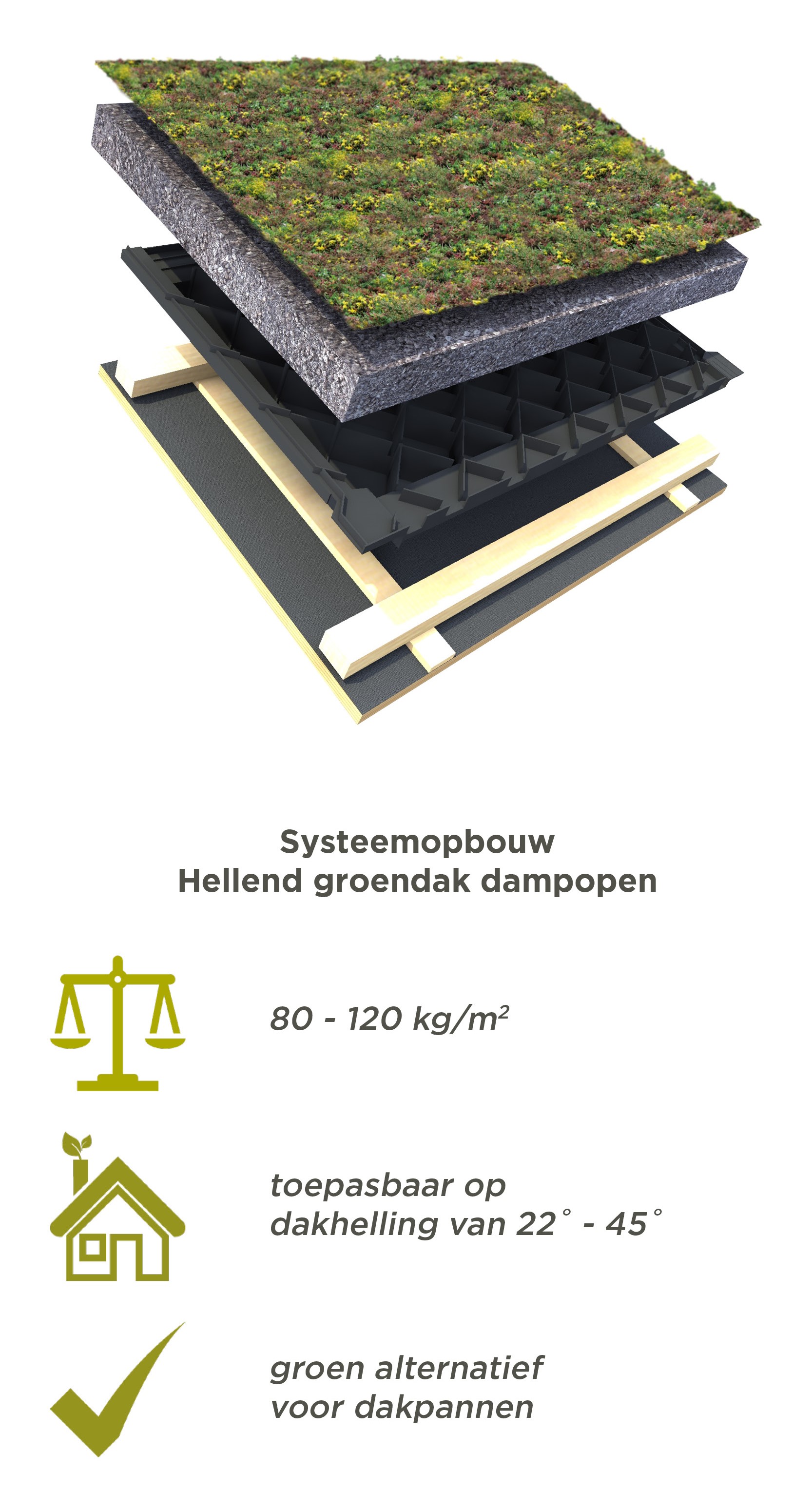 Systeemopbouw Hellend groendak dampopen
