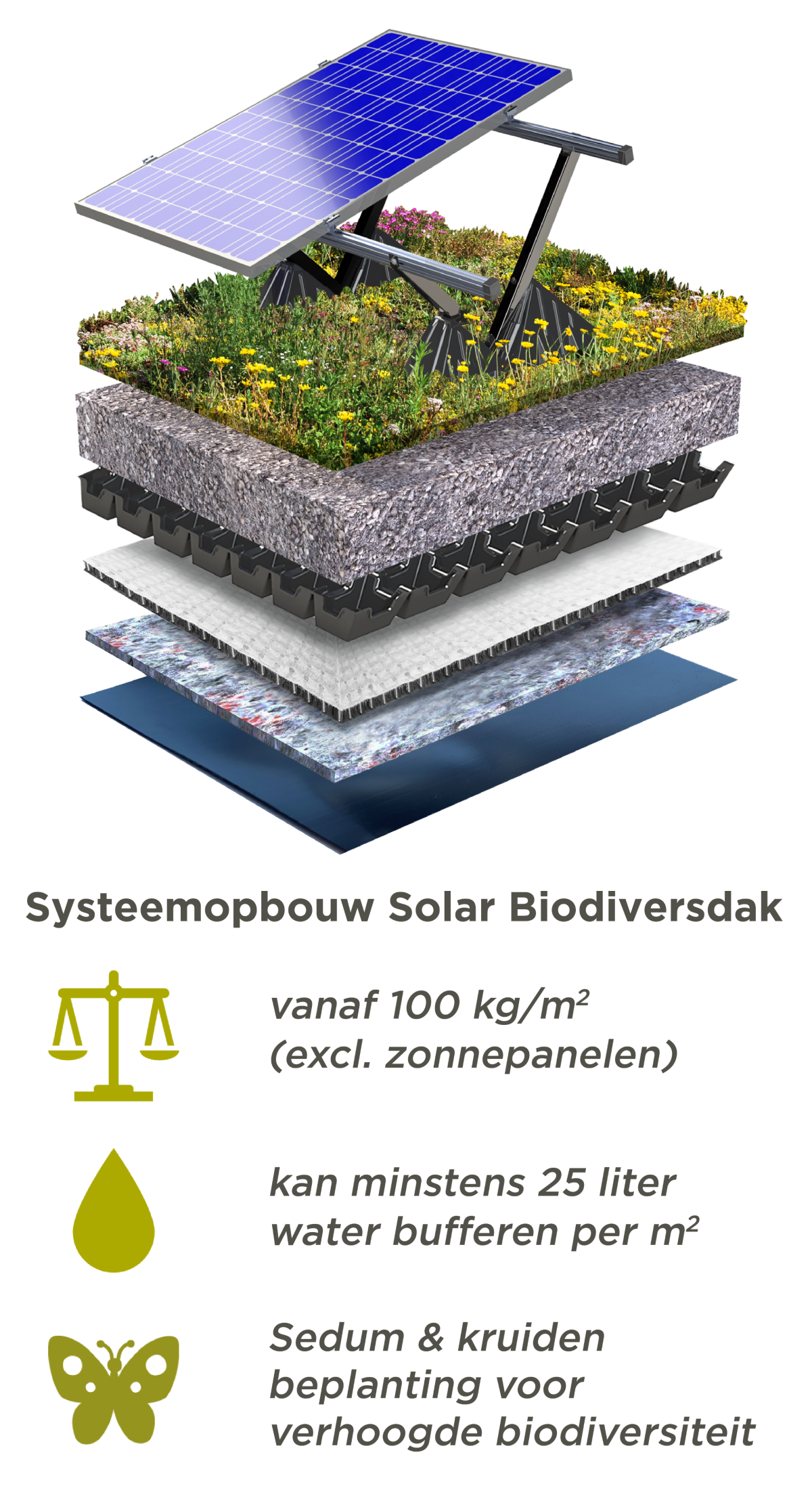 Groendak met zonnepanelen 