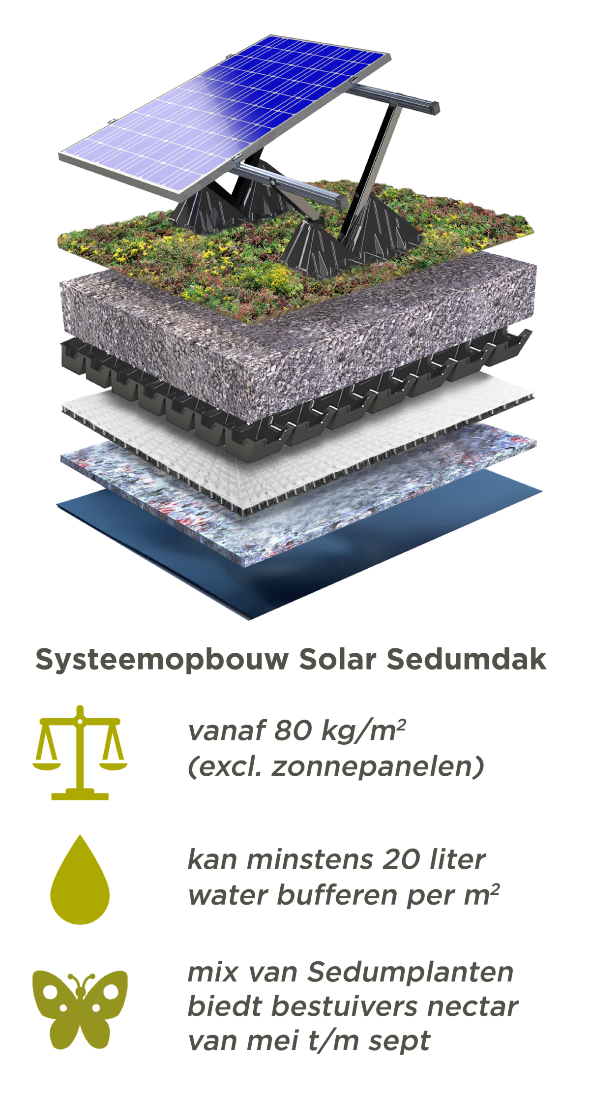 Sedumdak met zonnepanelen