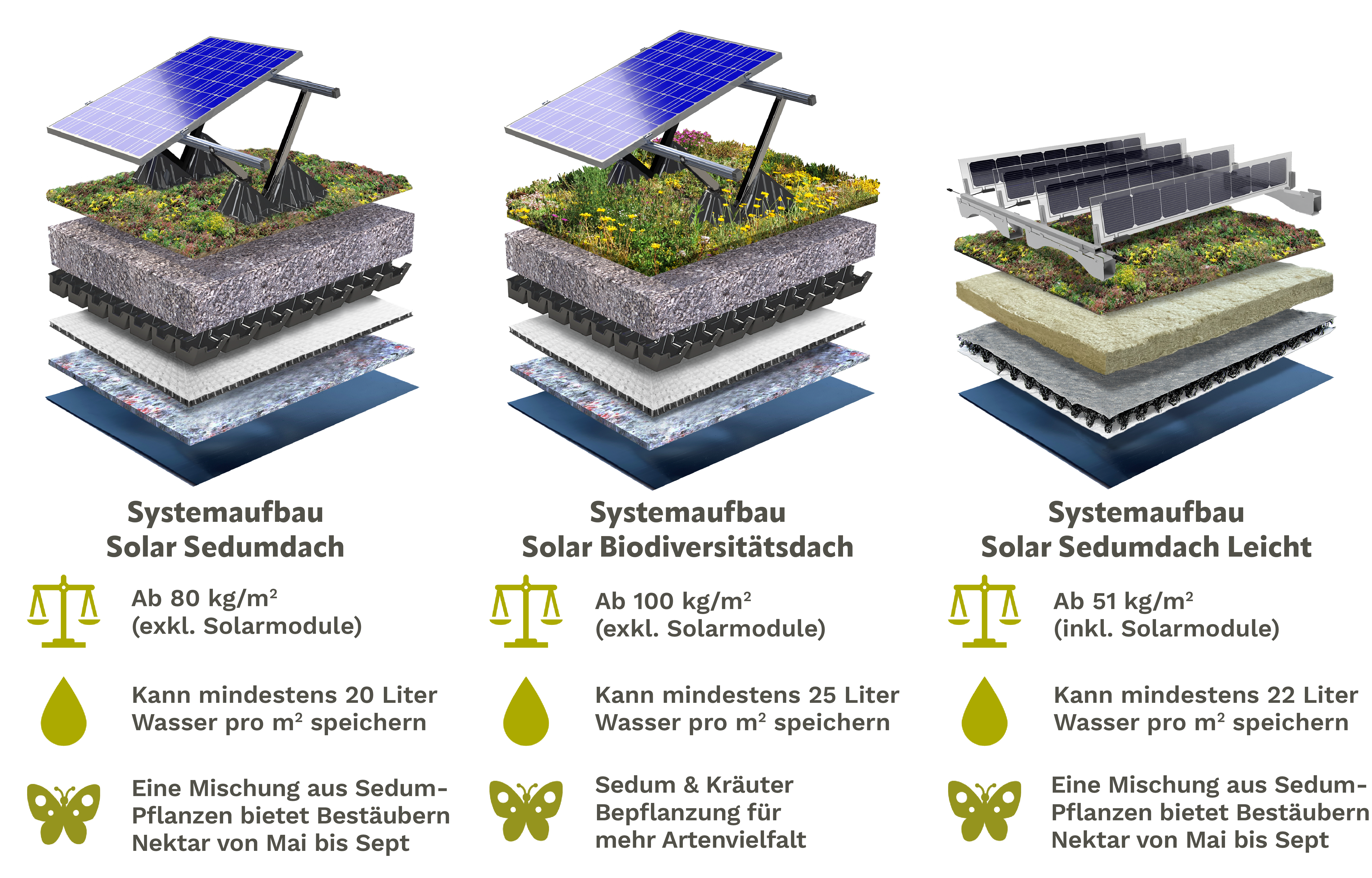 Solar Grundach