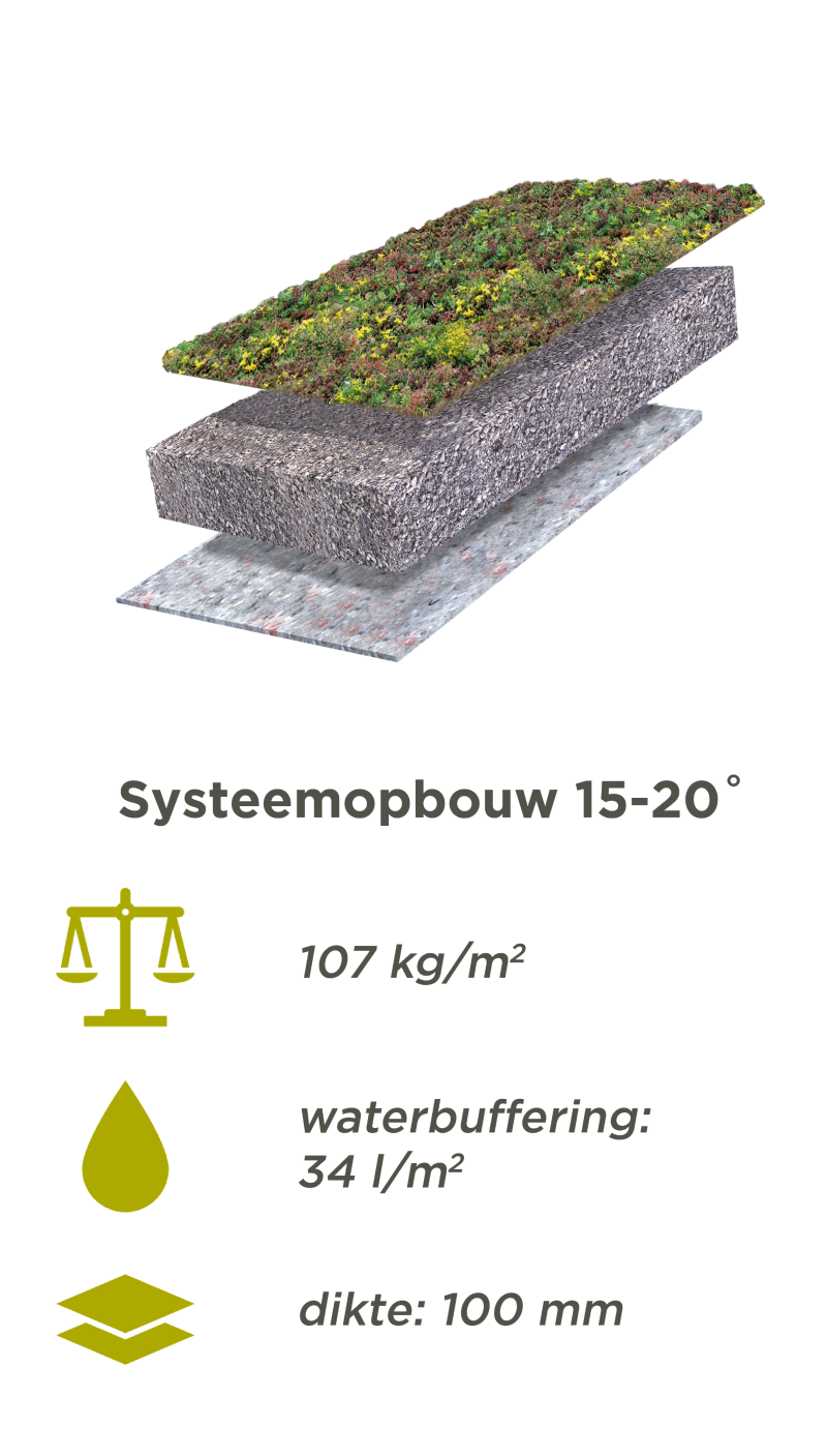 Systeemopbouw Traditioneel Sedumdak voor 15-20 graden dakhelling