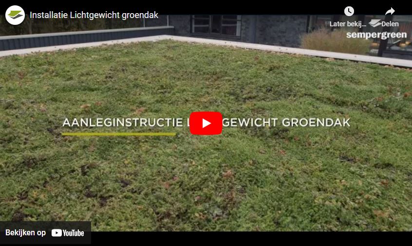 Aanleginstructie Lichtgewicht Sedumdak video