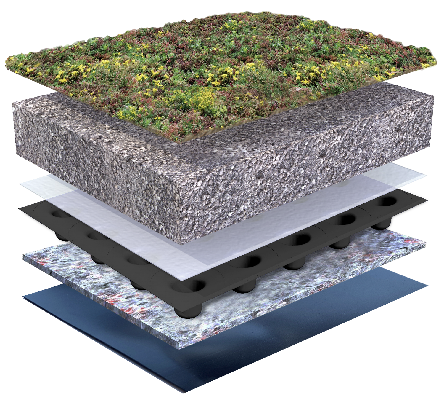 Konstrukcja systemu zielonego dachu – płaski dach rozchodnikowy