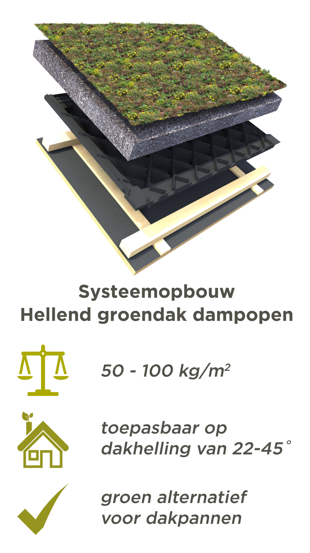 Systeemopbouw Hellend groendak dampopen Systeemopbouw Hellend groendak dampopen