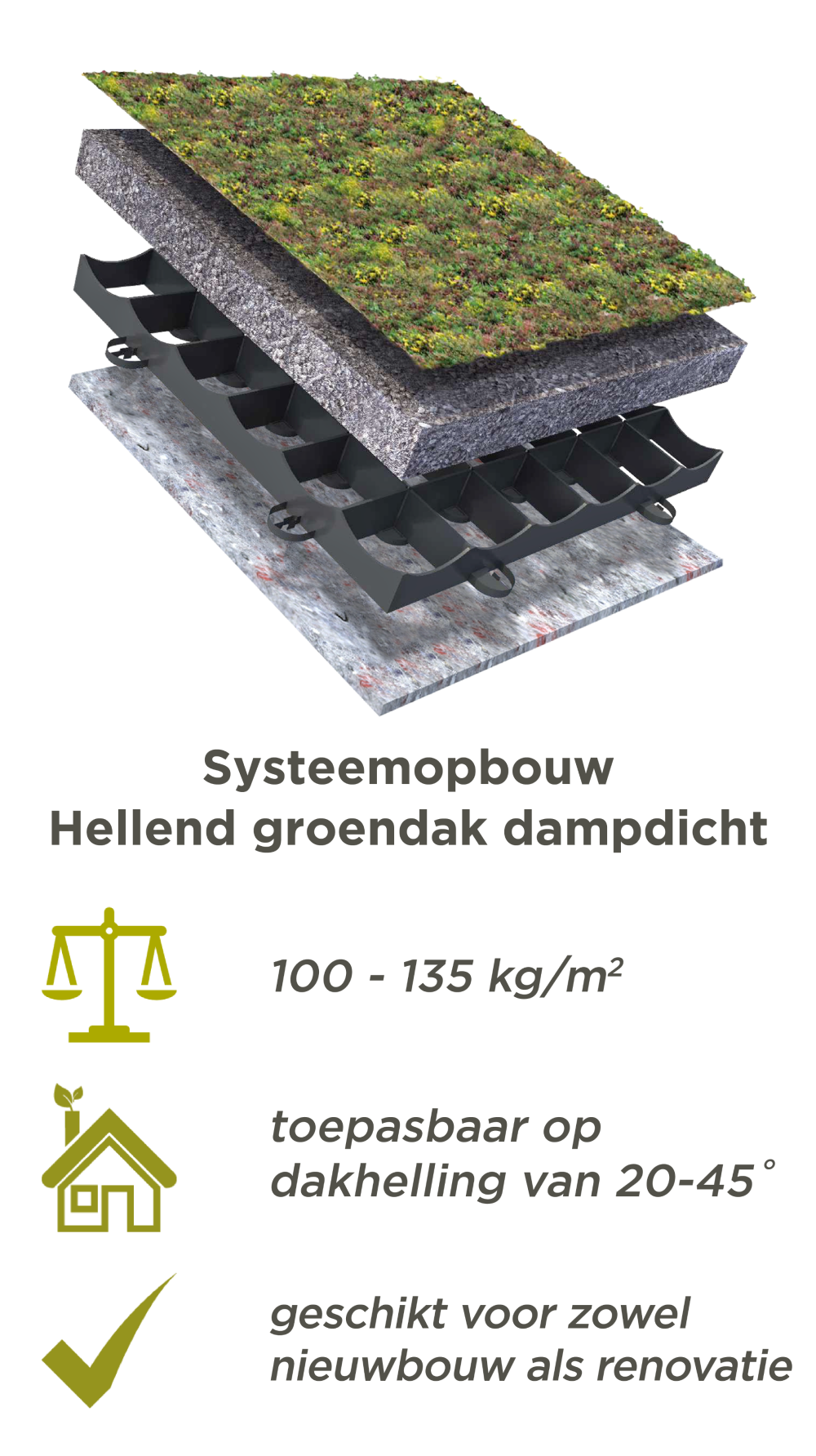 Systeemopbouw Hellend groendak dampdicht