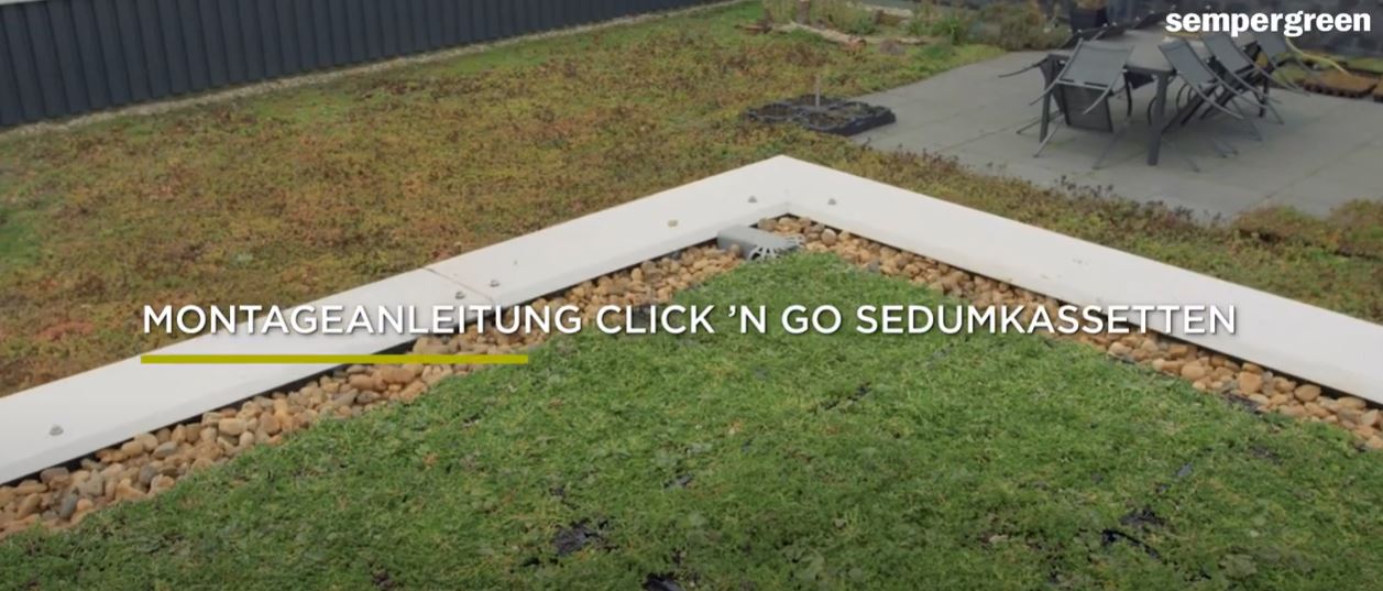 Video und Montageanleitung für das Gründach-System mit Click 'n go Sedum-Kassetten 