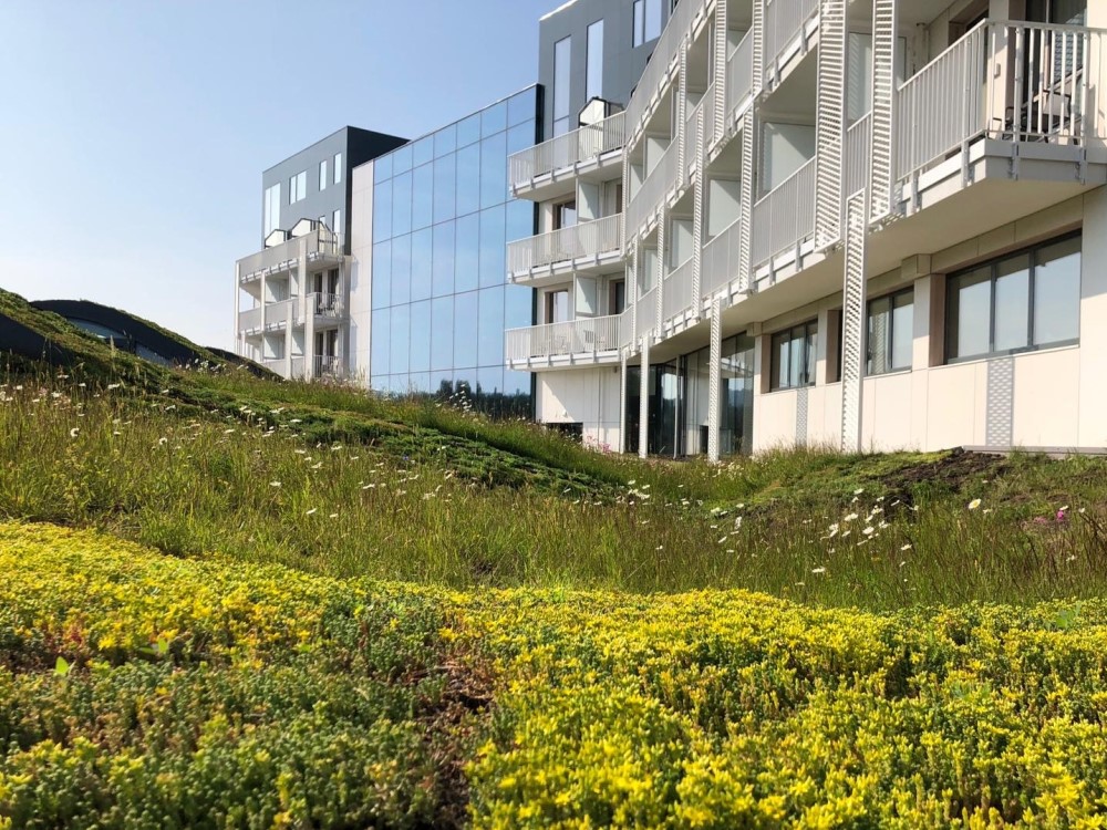 Dak Radisson Blu Hotel Sopot met Sedummixmatten en Wildflowermatten