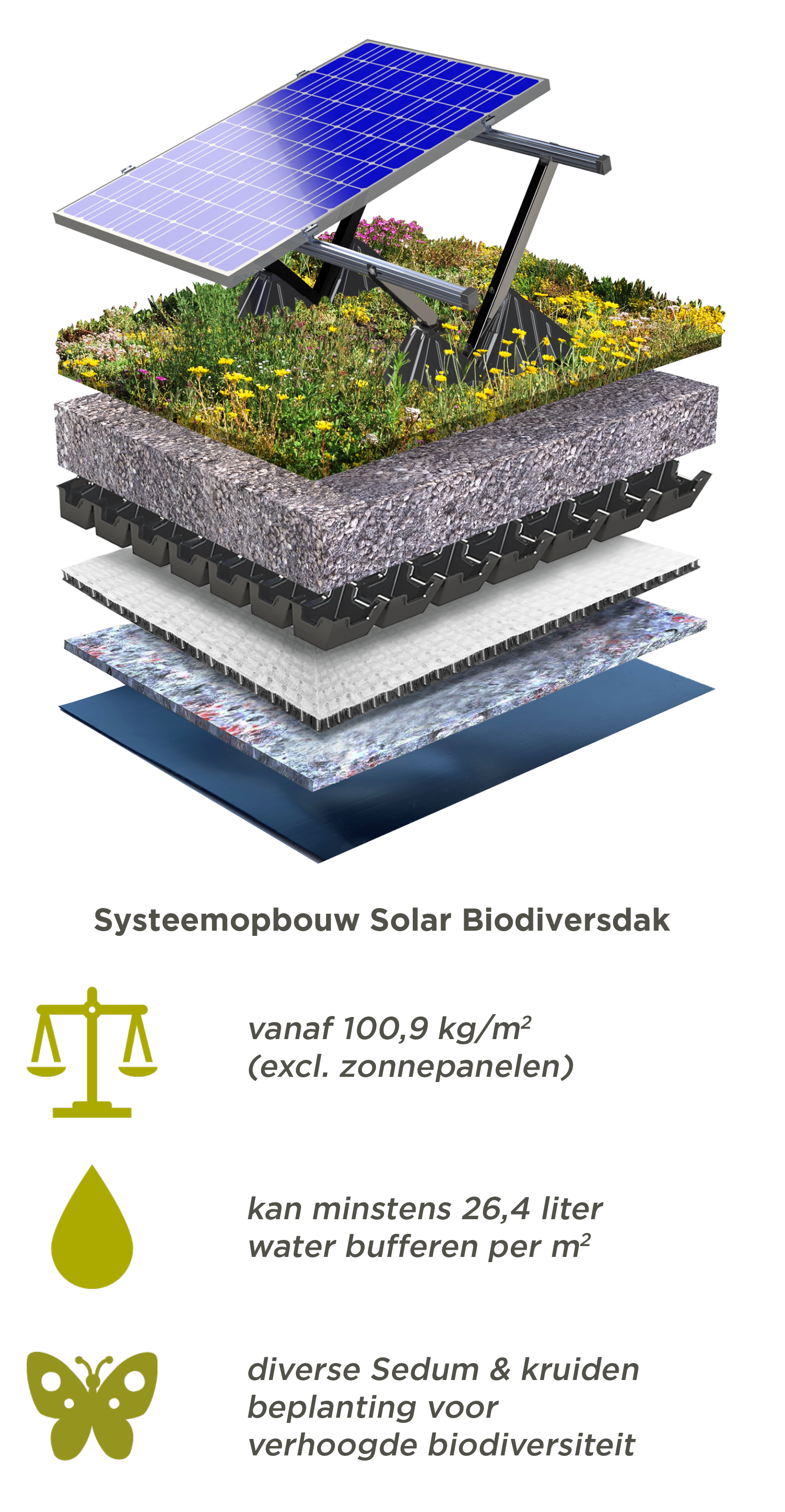 Groendak met zonnepanelen 