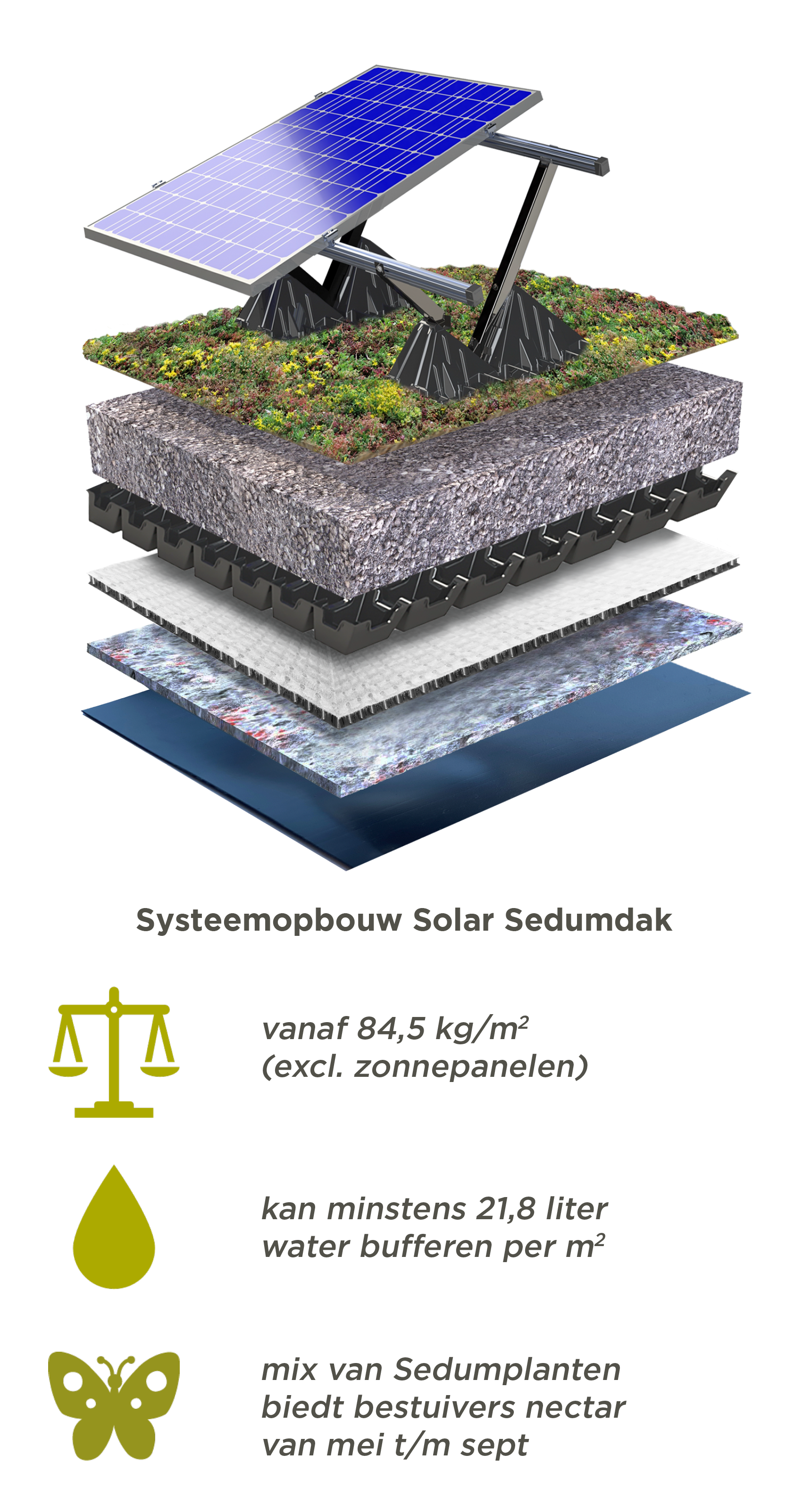 Sedumdak met zonnepanelen