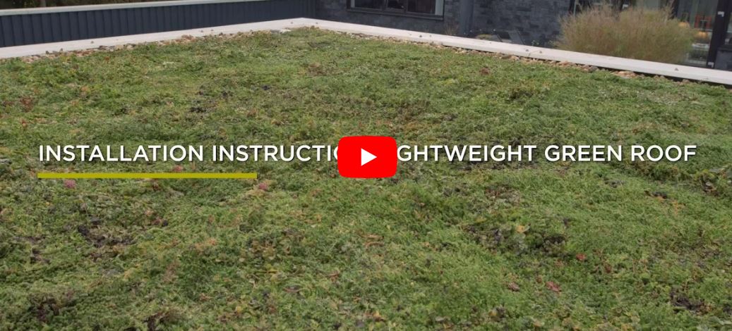 Installation video and instructions Lightweight Sedum Roof