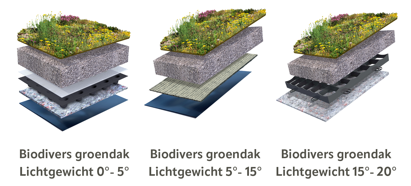 Platte en licht hellende Biodivers groendak systemen