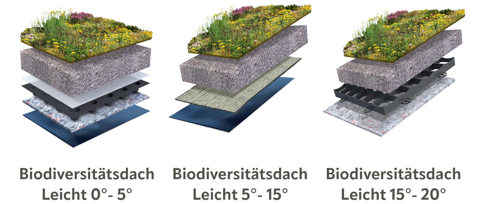 Flache und leicht geneigte Biodiversitätsdachsysteme